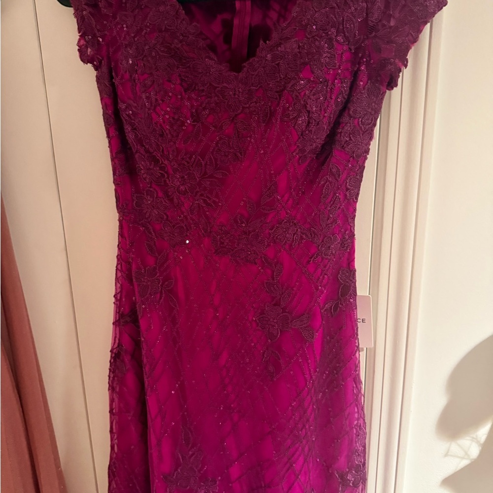 Elegant Rasberry Lace Dress